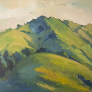 Spring Mountains, Big Sur by Erin Lee Gafill