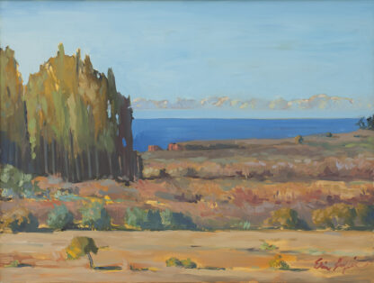 Eucalyptus, Fog, Andrew Molera, Big Sur by Erin Lee Gafill
