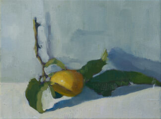 Lemon, Morning Light III by Erin Lee Gafill