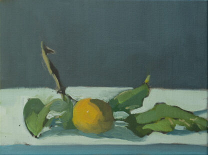 Lemon, Morning Light by Erin Lee Gafill