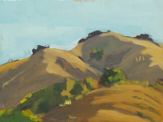 Santa Lucia Mountains, Morning at Nepenthe by Erin Lee Gafill