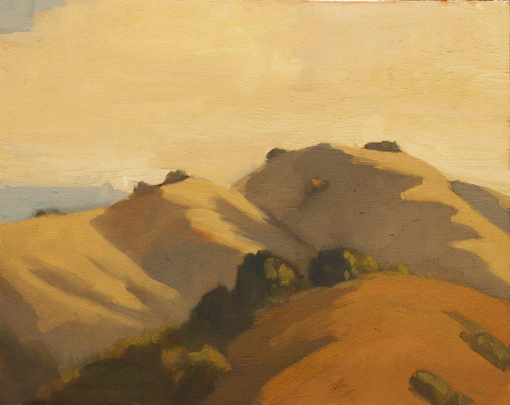Big Sur Hills, Morning by Erin Lee Gafill