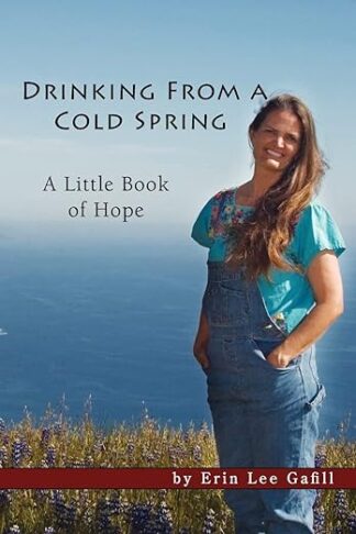Drinking From a Cold Spring - a Little Book of Hope by Erin Lee Gafill