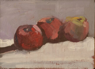 Three Apples, Shadow by Erin Lee Gafill