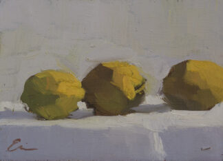 Three Lemons by Erin Lee Gafill