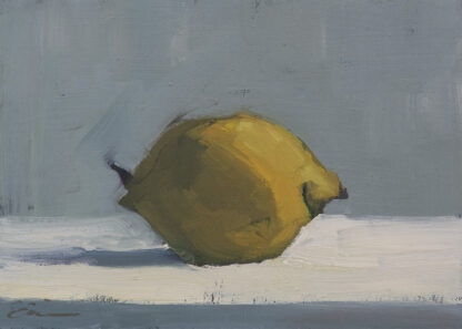 Lemon, Shadow by Erin Lee Gafill