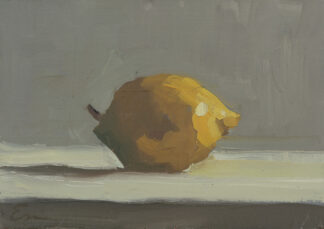 One Lemon by Erin Lee Gafill