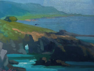 The Cove - Erin Lee Gafill