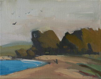 Gulls Over Monastery Beach by Erin Lee Gafill
