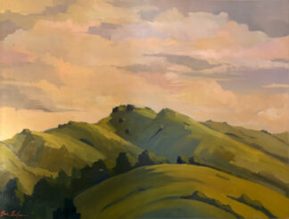 Spring Hills, Big Sur by Erin Lee Gafill