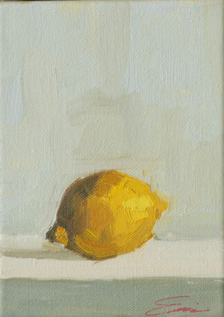 One Lemon and Its Shadow by Erin Lee Gafill