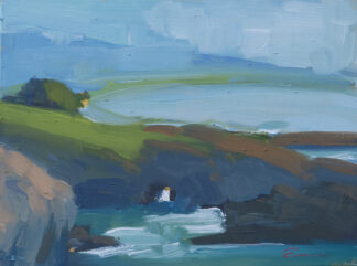 The Cove, Sea Ranch Lodge by Erin Lee Gafill