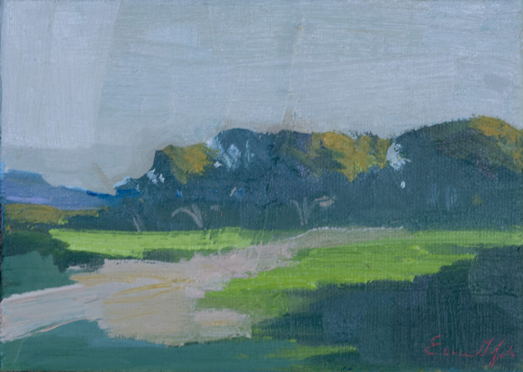 Eucalyptus Grove, Molera, Big Sur by Erin Lee Gafill